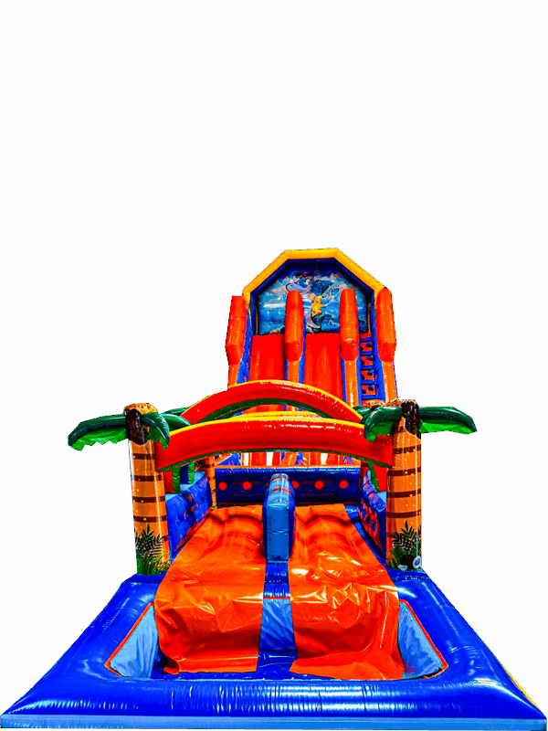 Tobogã Shark Slide