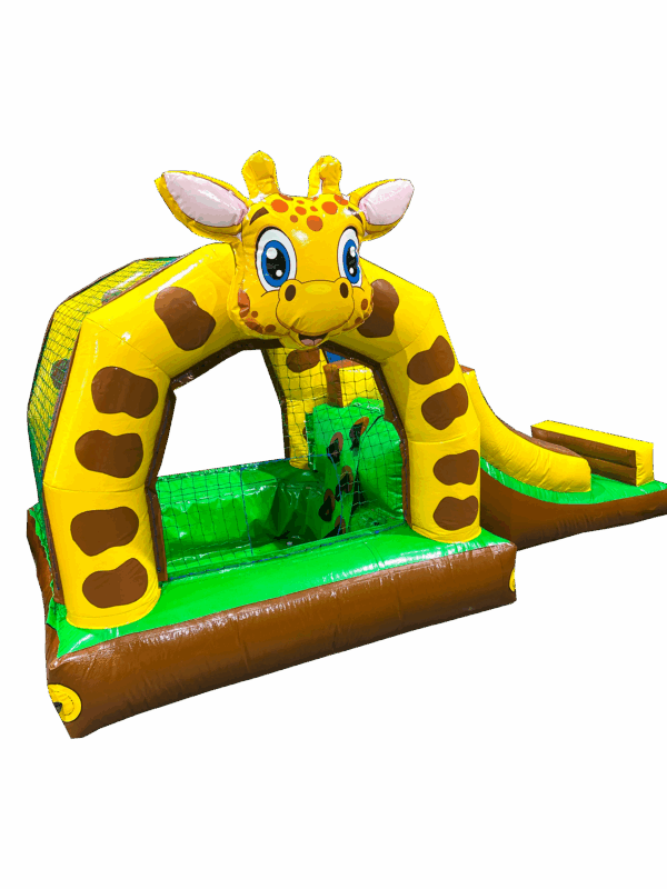 Piscina girafa c/ escorrega